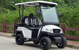 Bintelli Beyond 4PR Street Legal Golf Cart - Aluminum Frame